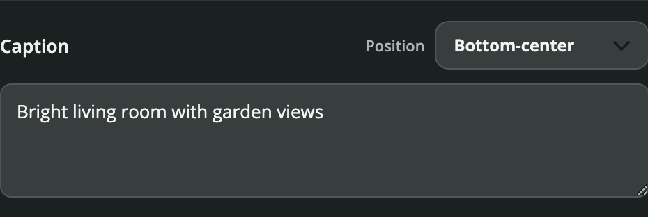 Edit the caption and its position